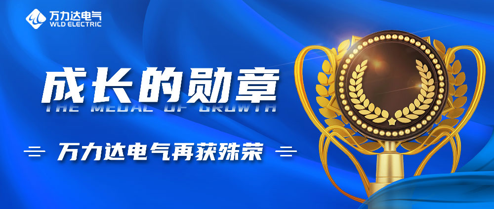 成长的勋章！william威廉亚洲官方电气再获殊荣