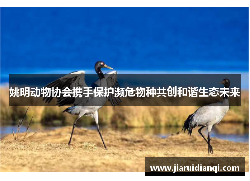 姚明动物协会携手保护濒危物种共创和谐生态未来